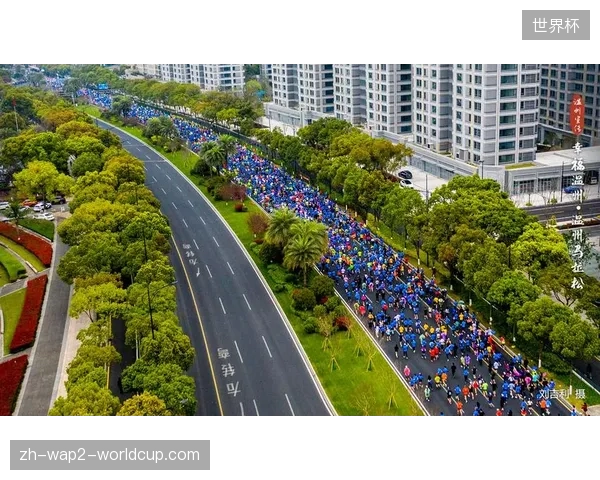 头部马拉松流量为何在数字化监测下依然难以兑现赞助溢价? 头部马拉松流量为何在数字化监测下依然难以兑现赞助溢价?